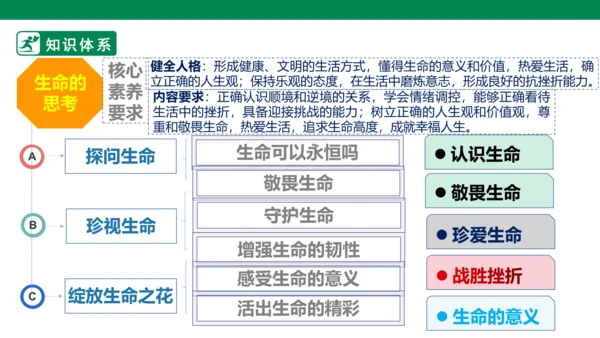 新课标七上第四单元生命的思考复习课件2023