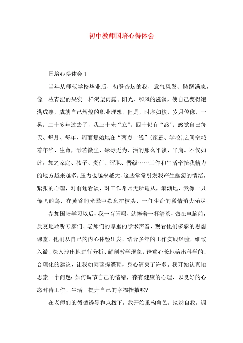 初中教师国培心得体会.docx