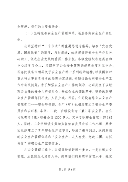 国有大型铜业联合企业安全工作汇报.docx