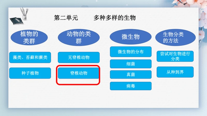 2.2.2脊椎动物（第2课时两栖动物和爬行动物）-七年级生物上册同步优质备课系列（人教版2024新教