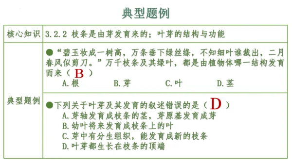 第三单元 植物的生活（单元复习课件）2023-2024学年七年级生物上册同步精品课件（人教版）(共3