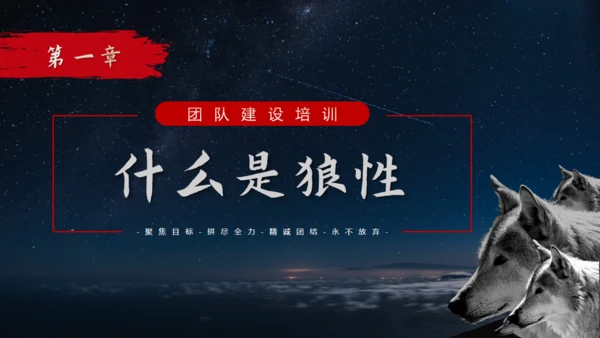 如何打造狼性团队培训狼文件通用PPT模板