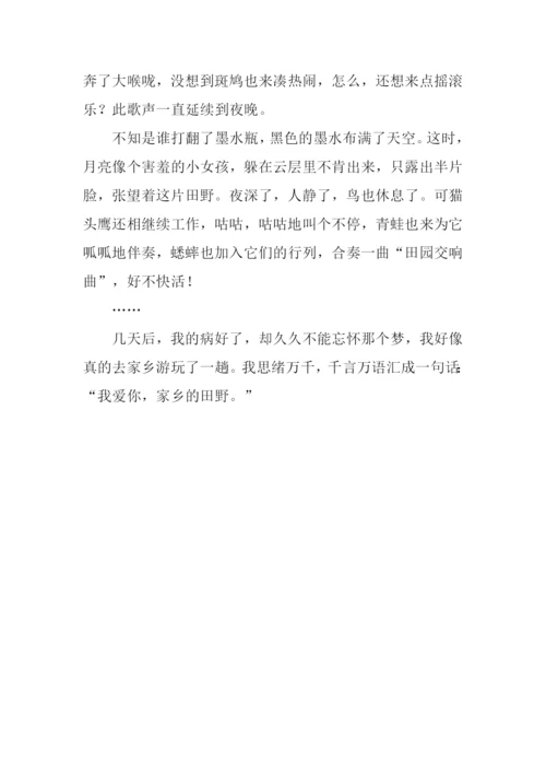 乡之梦作文700字.docx