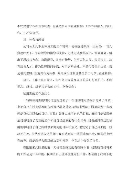 试用期的工作总结（5篇）