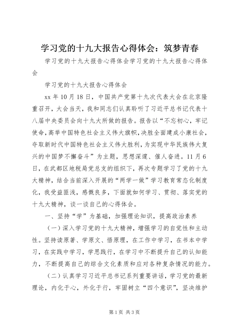 学习党的十九大报告心得体会：筑梦青春.docx