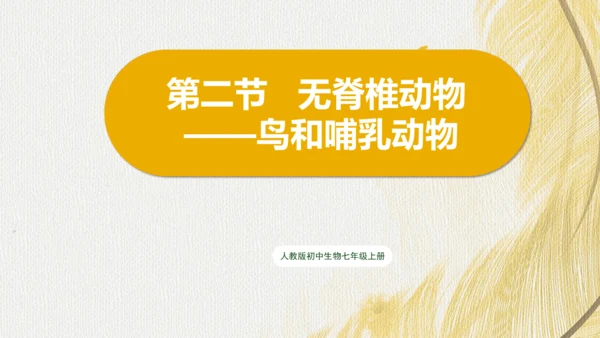 人教版 初中生物七年级上册2.2.2脊椎动物（鸟和哺乳动物）课件(共24张PPT)+ 视频素材