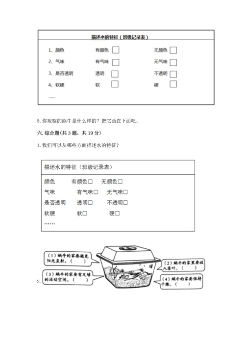 教科版一年级下册科学期末测试卷含完整答案（全国通用）.docx