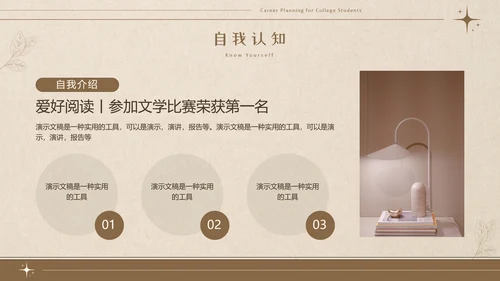 美拉德色大学生职业生涯规划PPT模板