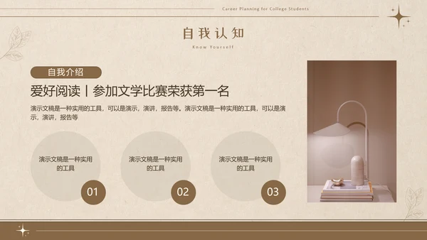 美拉德色大学生职业生涯规划PPT模板