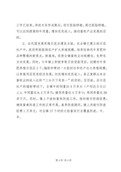 6乡镇政府工作总结报告.docx