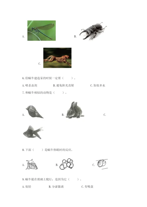 教科版一年级下册科学期末测试卷精品（全优）.docx