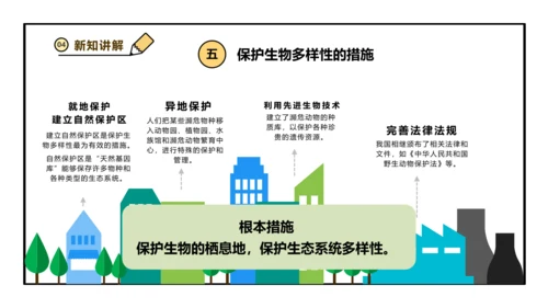 人教版生物八上 6.3 保护生物的多样性 课件(共26张PPT)