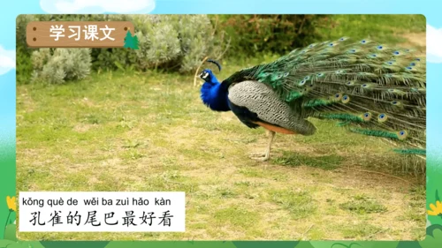 课文6《比尾巴》（教学课件）