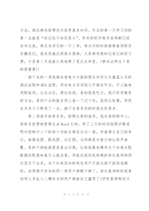 软件实习工作总结5篇.docx