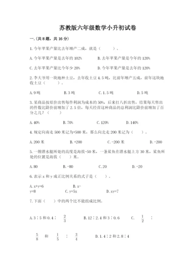 苏教版六年级数学小升初试卷附完整答案（典优）.docx