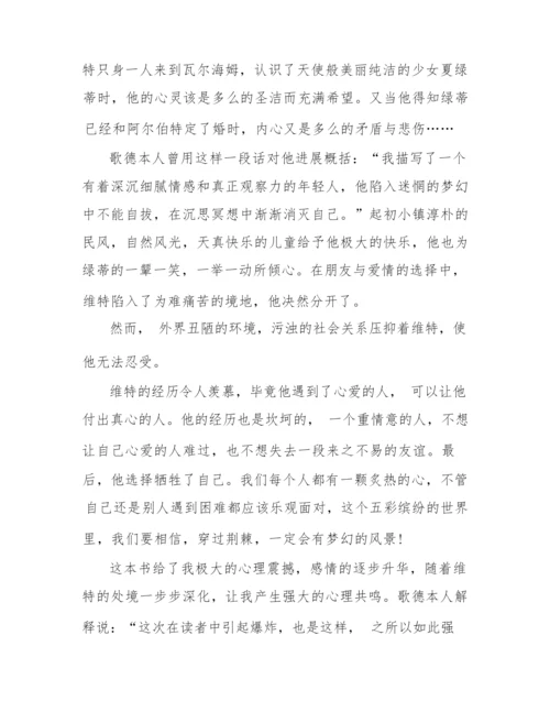 《少年维特的烦恼》的个人观后感700字.docx