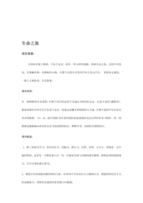 史威夫室内拓展项目大全.docx