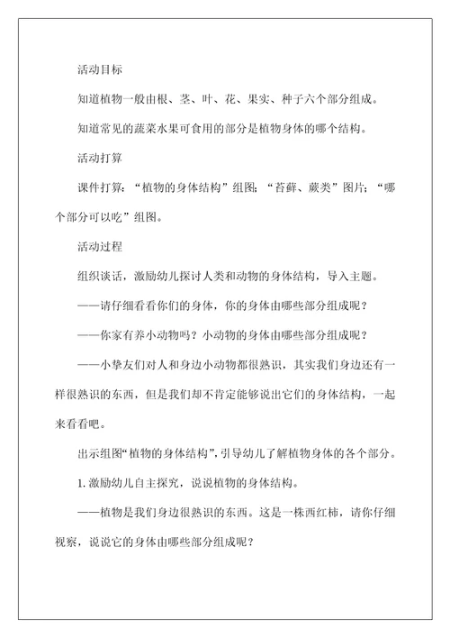 2022《植物的“身体》大班教案