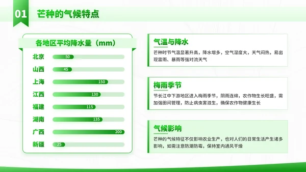 绿色插画风走进芒种节气知识与教学应用PPT模板