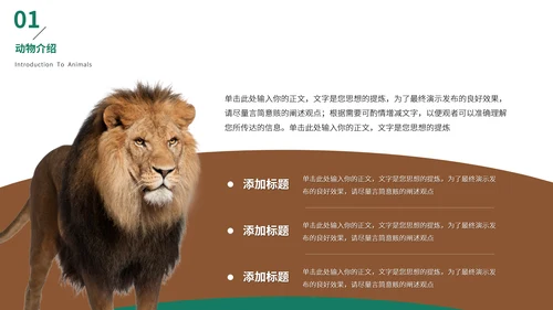 猎豹动物世界花豹科普介绍，豹子通用PPT模板