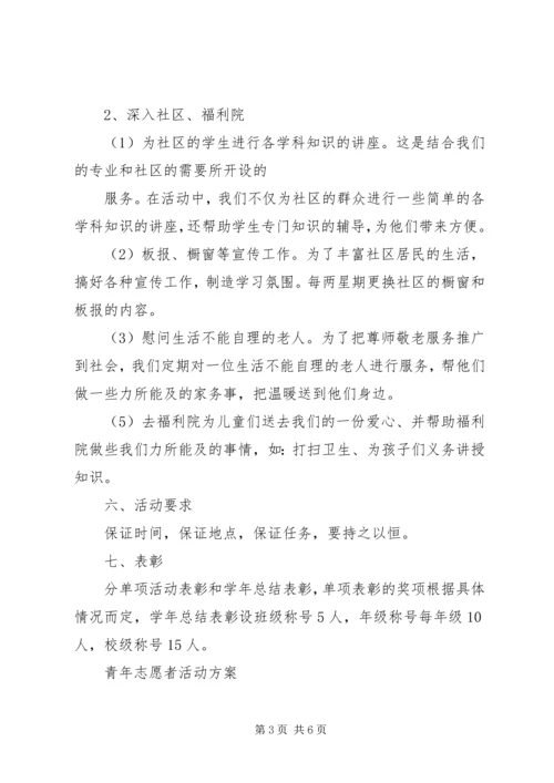 青年志愿者活动方案 (11).docx