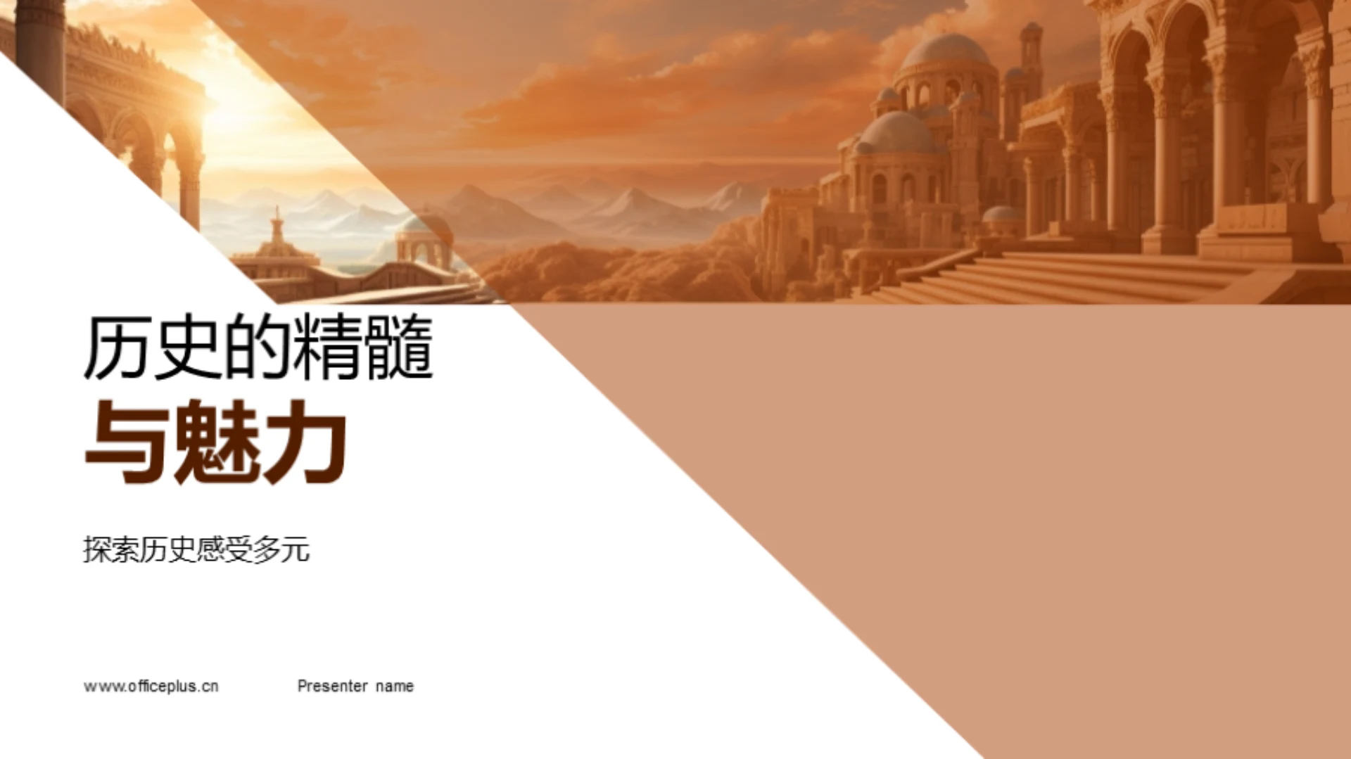 历史的精髓与魅力