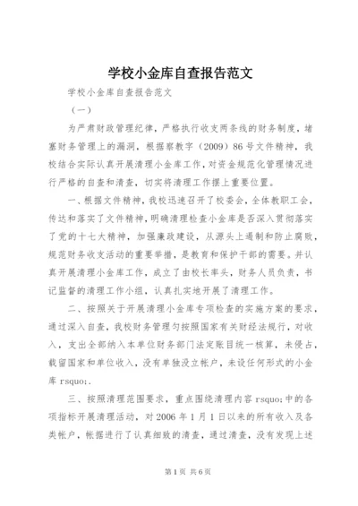 学校小金库自查报告范文.docx