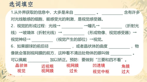 初中生物学人教版（新课程标准）七年级下册4.6.1人体对外界环境的感知课件(共33张PPT)