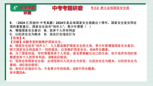 八上道法第四单元维护国家利益复习课件2024  