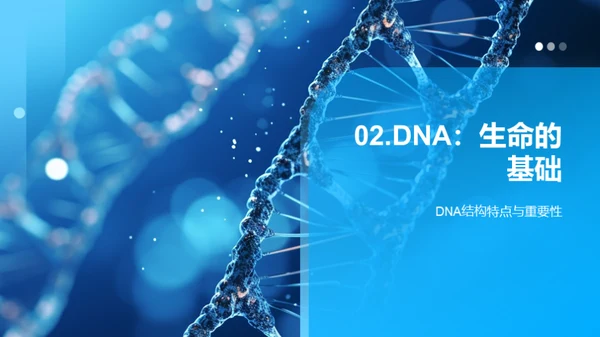 探秘生命密码：DNA