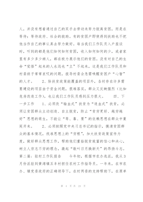 驻村工作队报告(通用6篇).docx