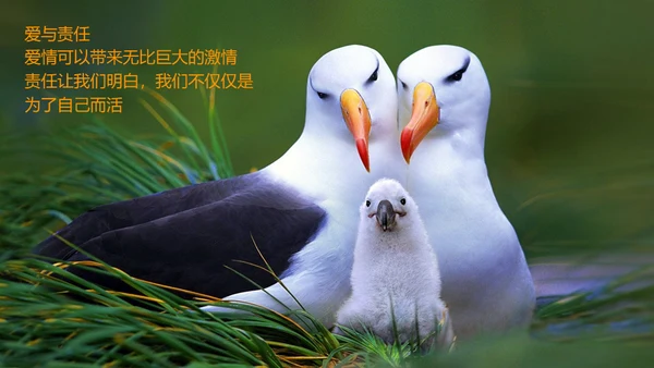 激情去哪了员工在职培训通用PPT课件