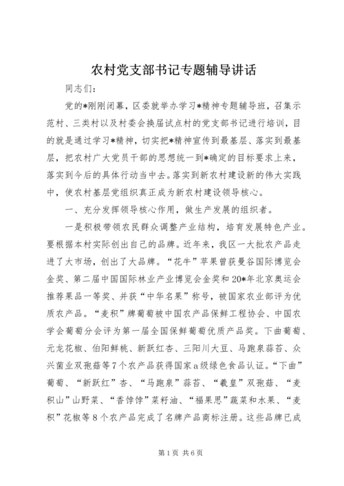 农村党支部书记专题辅导讲话.docx