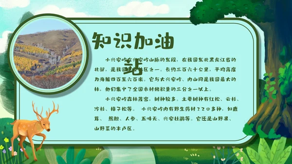 《美丽的小兴安岭》通用PPT课件模板
