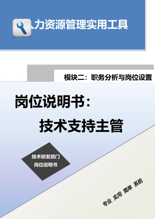 岗位说明书：技术支持主管.docx