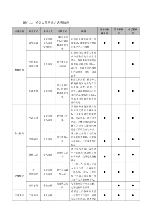 公司的人才梯队建设储备方案.docx