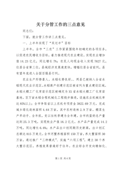 关于分管工作的三点意见.docx