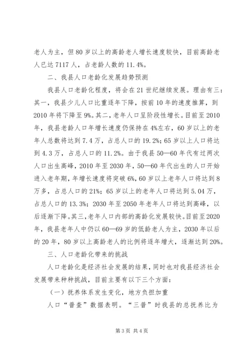 县政府人口老龄化发展情况调研报告 (5).docx