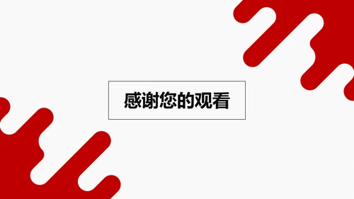 项目工作总结汇报
