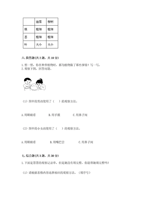 教科版科学一年级上册第一单元《植物》测试卷附完整答案（有一套）