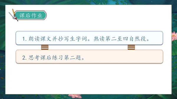 【核心素养】部编版语文三年级下册-3. 荷花 第1课时（课件）