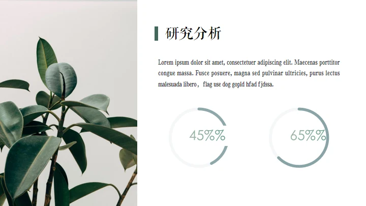 绿色植物自然风格答辩通用PPT模板