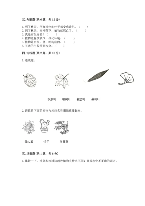 教科版科学一年级上册第一单元《植物》测试卷附完整答案【必刷】.docx