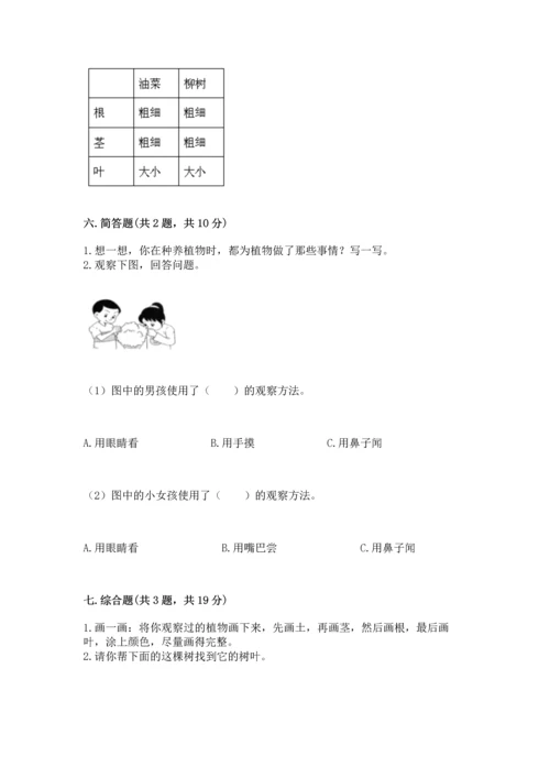 教科版科学一年级上册第一单元《植物》测试卷含答案【综合卷】.docx