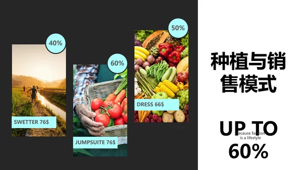 绿色农产品瓜果蔬菜农业主题通用PPT模板