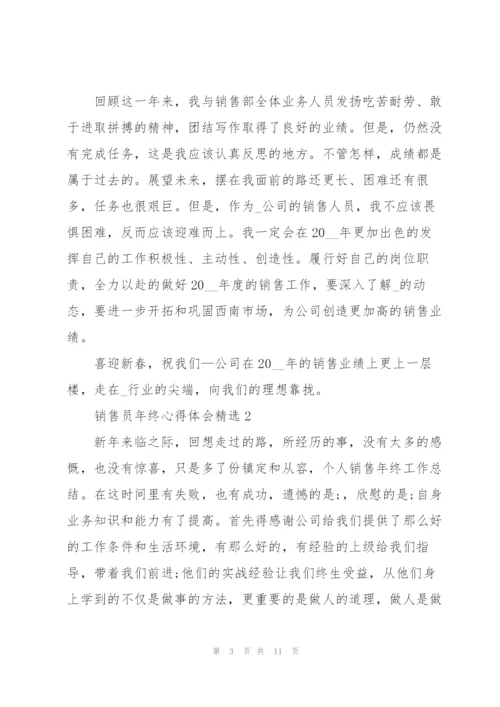 销售员年终心得体会.docx