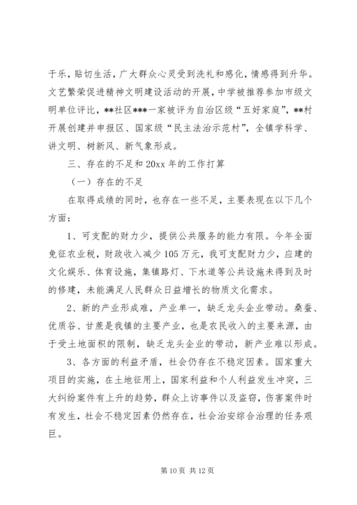 乡镇政府年度工作总结.docx