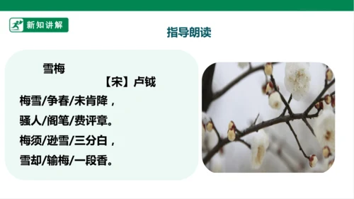 9. 古诗三首 第三课时 课件