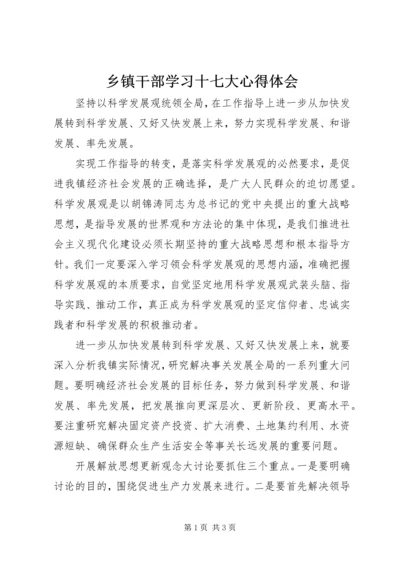 乡镇干部学习十七大心得体会.docx