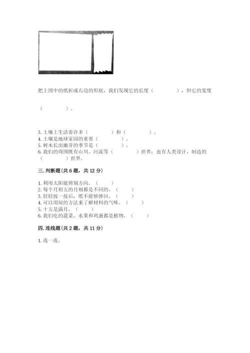 教科版二年级上册科学期末测试卷及完整答案1套.docx